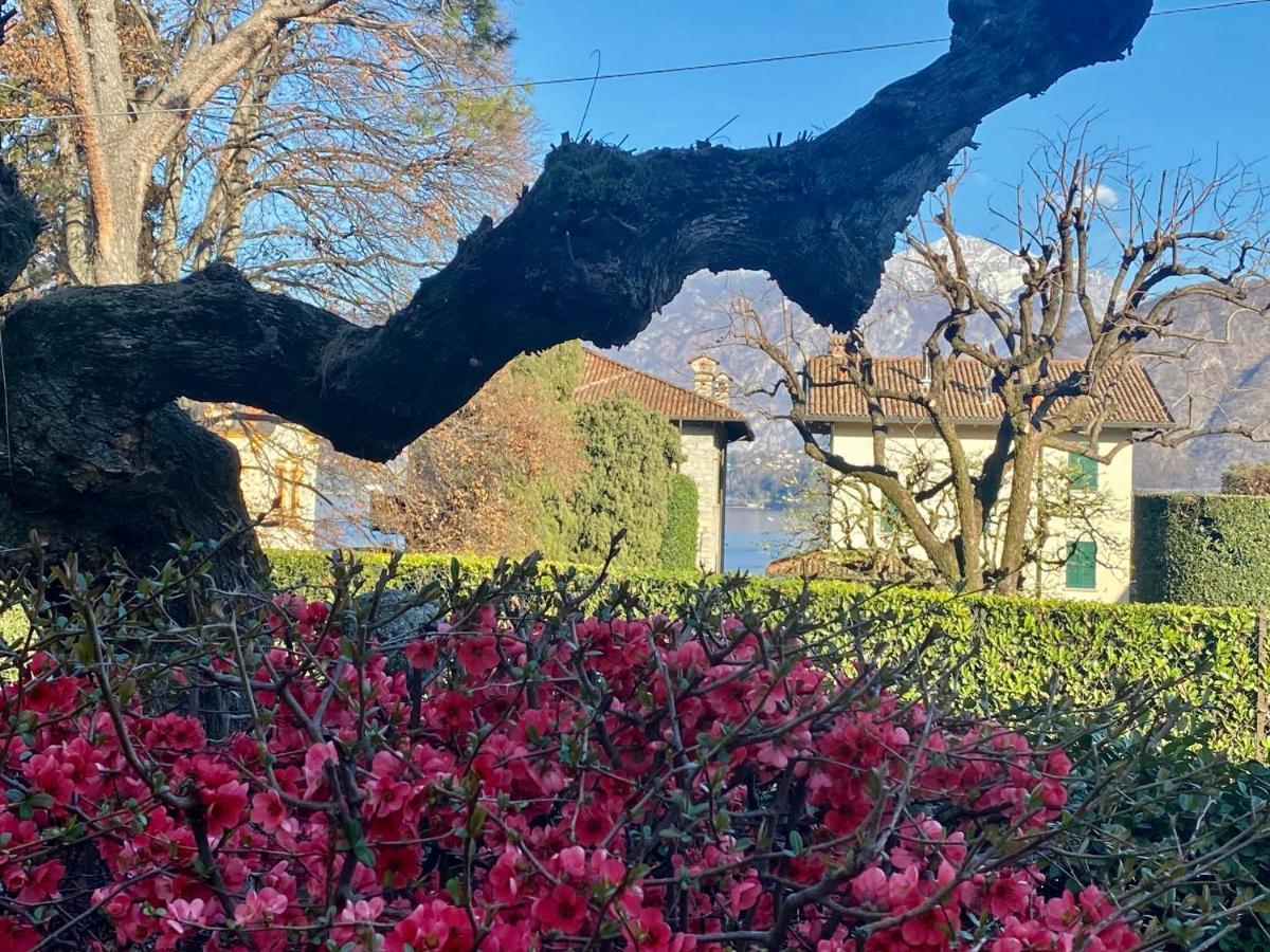 Villa Magnolia - Lake Como Lenno Zewnętrze zdjęcie