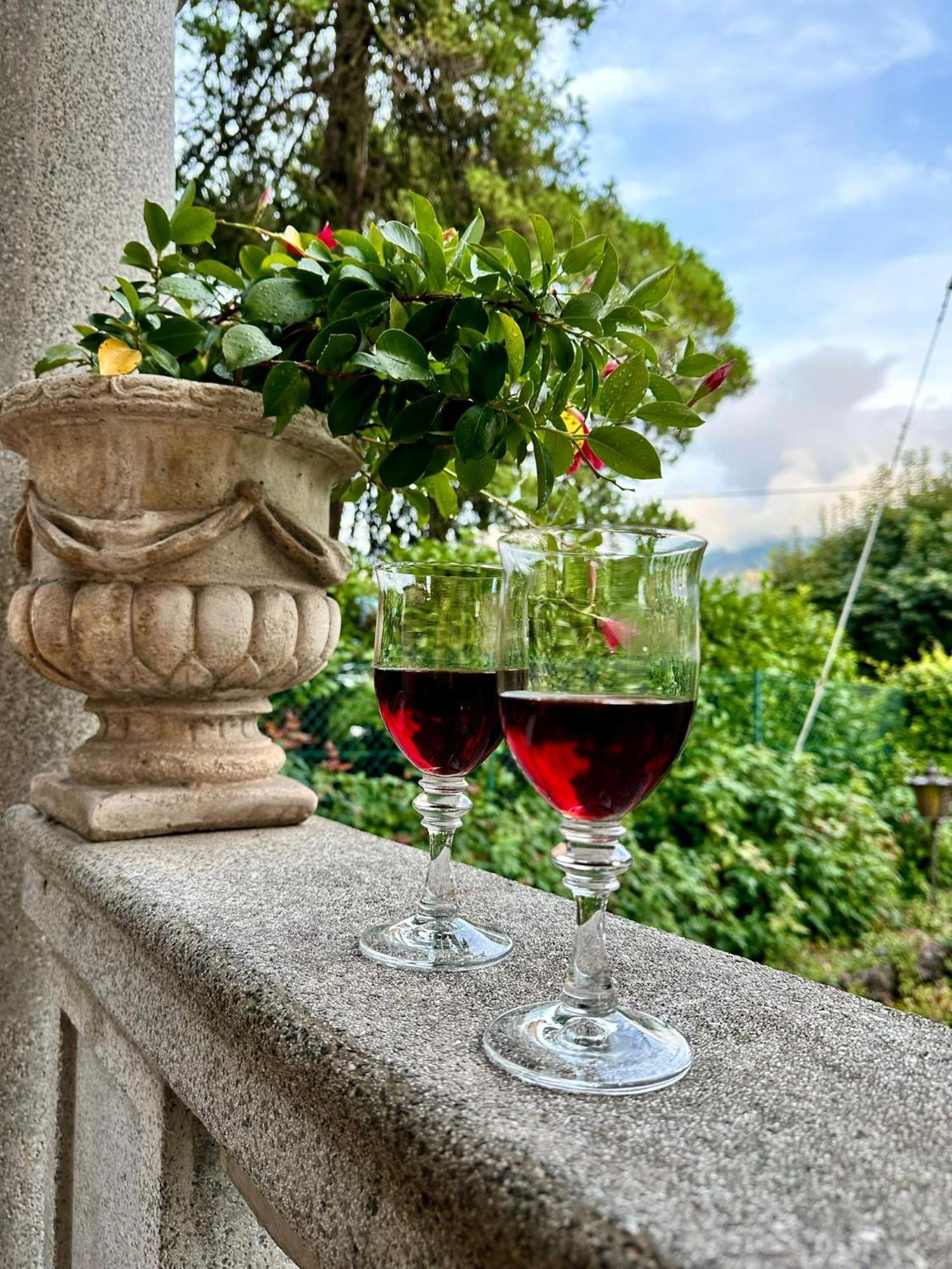 Villa Magnolia - Lake Como Lenno Zewnętrze zdjęcie